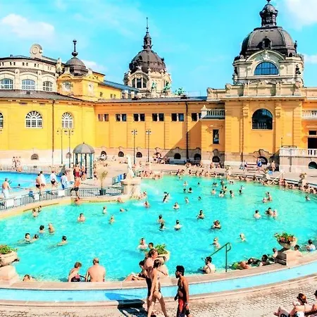 홈스테이 Lookery